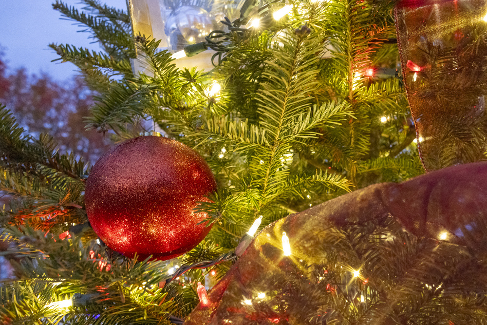 Reminder: Tree Recycling & Holiday Garbage Drop-off