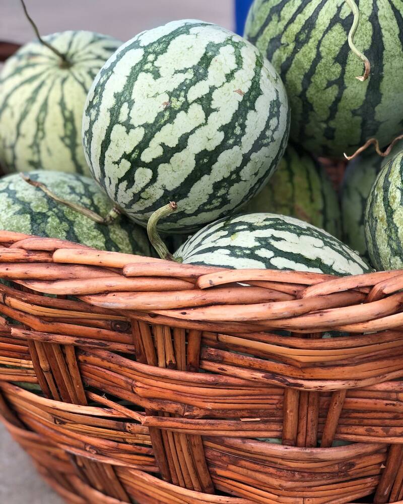 City of Tuscaloosa Farmers Market to Hold Sweet Grown Alabama Day