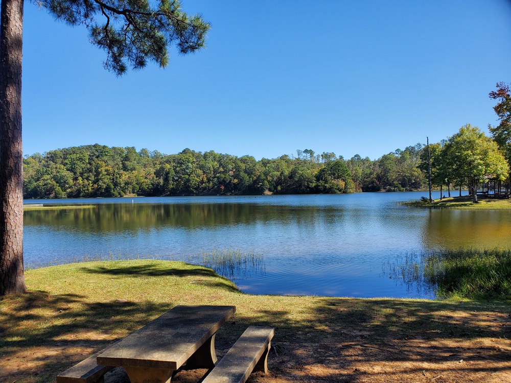 City of Tuscaloosa Launches Community Parks Survey through Elevate