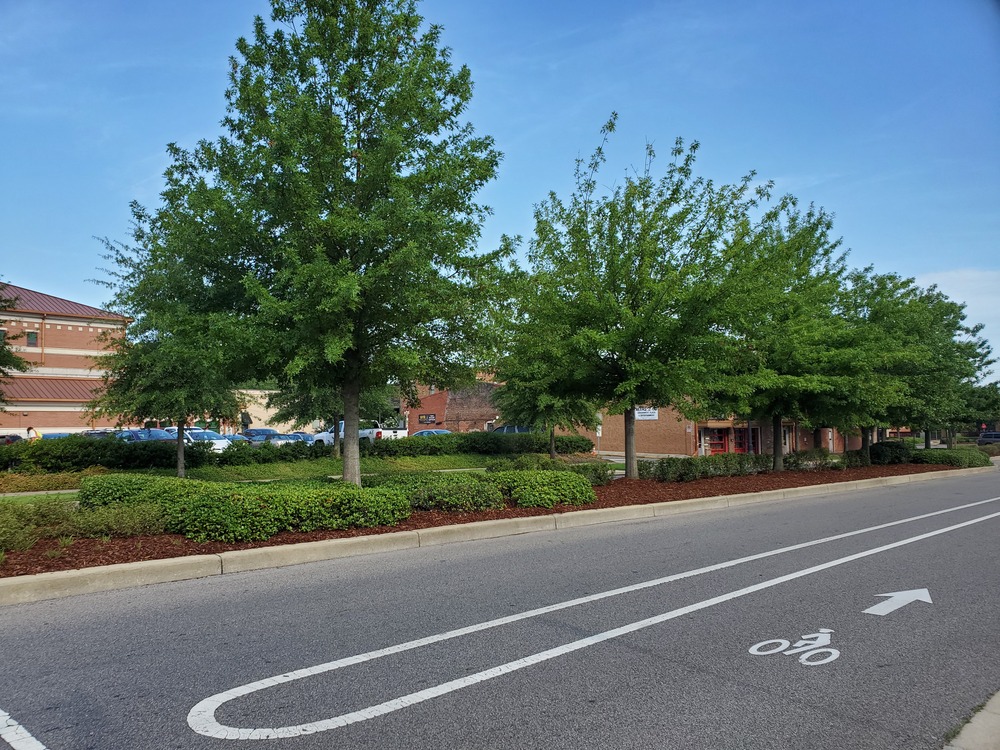 City of Tuscaloosa Receives $17.1 Million Grant for University Blvd. Project