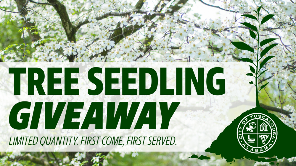 City of Tuscaloosa to Host Tree Seedling Giveaway at Tuscaloosa River Market