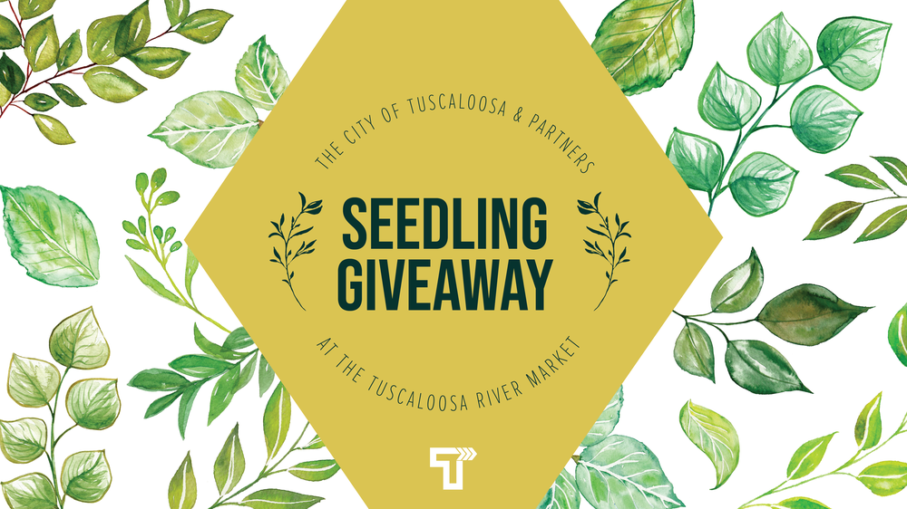 City of Tuscaloosa to Host Tree Seedling Giveaway at Tuscaloosa River Market