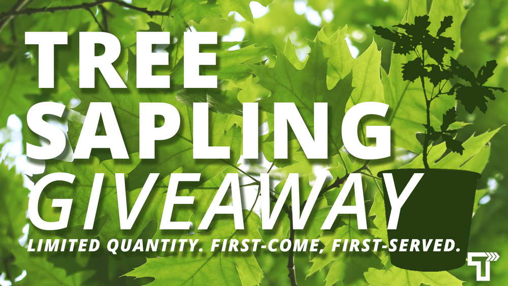 City of Tuscaloosa to Host Tree Sapling Giveaway at Tuscaloosa River Market